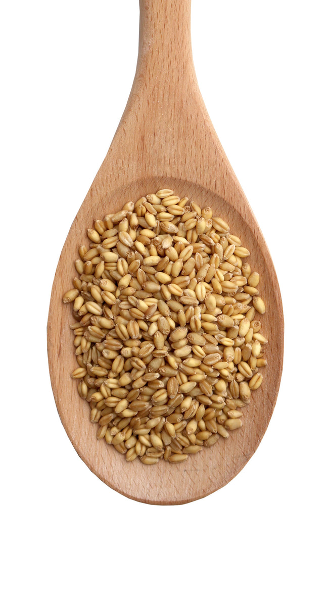 10 kg Whole Grain Soft White Wheat Wheat Barries Ottawa Valley