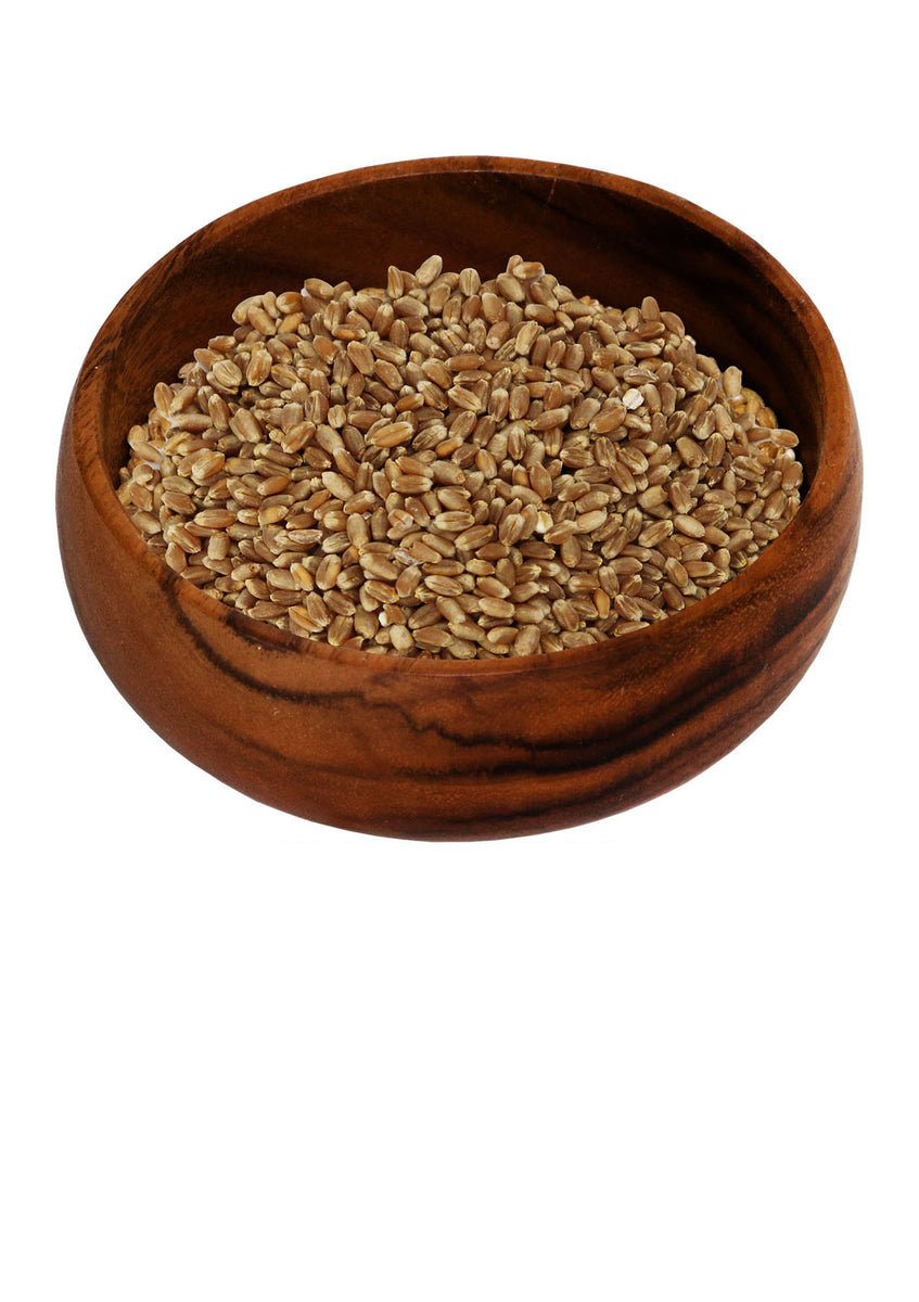 10 kg Whole Grain Hard Red Wheat Local Grain Healthy Grain Ottawa