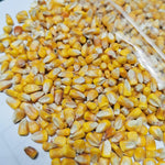 10 kg Whole Yellow Dent Corn